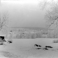 Vintermotiv över Malbacken, från Finngården